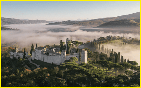 d94a9925-8f90-492a-bcc3-325f72902aa0 d94a9925-8f90-492a-bcc3-325f72902aa0