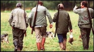 dcc63ded-fd7c-4007-9dcf-f0ab1a0ef84d.jpeg dcc63ded-fd7c-4007-9dcf-f0ab1a0ef84d.jpeg