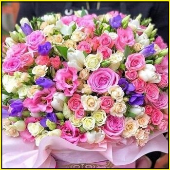 b452ba63-4b9c-4f6a-858b-4918302ca7ef b452ba63-4b9c-4f6a-858b-4918302ca7ef