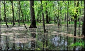 313ac7eb-575e-4784-8bbf-e3853ba76323.jpeg 313ac7eb-575e-4784-8bbf-e3853ba76323.jpeg