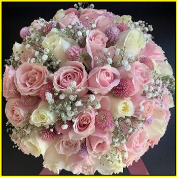 ea465f03-1b5e-4f2f-b421-38e8eecc20d0 ea465f03-1b5e-4f2f-b421-38e8eecc20d0