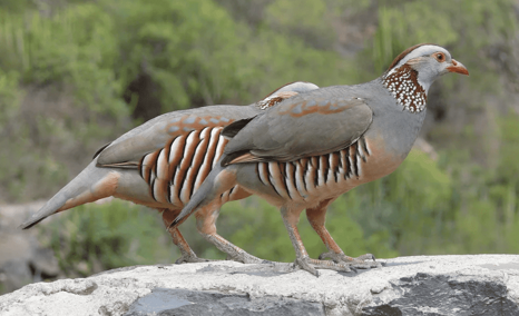 c788544a-a14c-4a86-9c13-550f690a360b