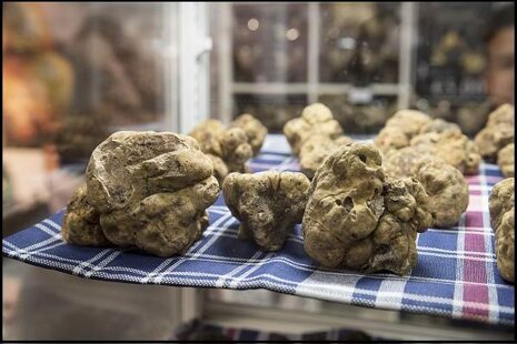 cb4a0ffe-2133-48ff-aacb-b1cf03c22028.jpeg cb4a0ffe-2133-48ff-aacb-b1cf03c22028.jpeg