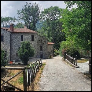 2f4a9b56-5334-4292-af06-385d0f2674e0 2f4a9b56-5334-4292-af06-385d0f2674e0