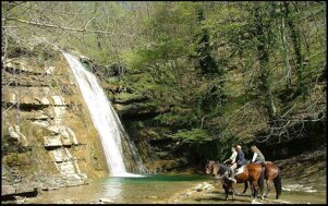 8ec36fd8-e3dc-460f-bcd0-d6480d7234e3.jpeg 8ec36fd8-e3dc-460f-bcd0-d6480d7234e3.jpeg