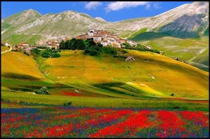 4e7e446d-2a3f-4964-9fe2-67d50dad0929.jpeg 4e7e446d-2a3f-4964-9fe2-67d50dad0929.jpeg