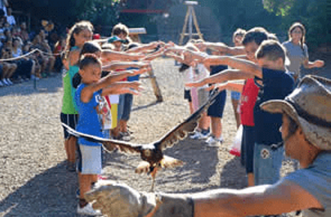 6399f1b4-820b-4124-b261-e66080c626a8