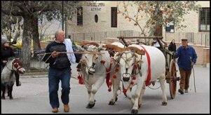 1af75aa7-df79-4c26-8cf4-9228318da986.jpeg 1af75aa7-df79-4c26-8cf4-9228318da986.jpeg