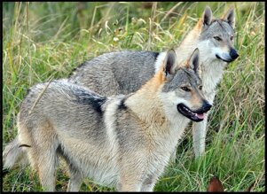 1c959355-54cf-4f53-bddc-181d7928f905