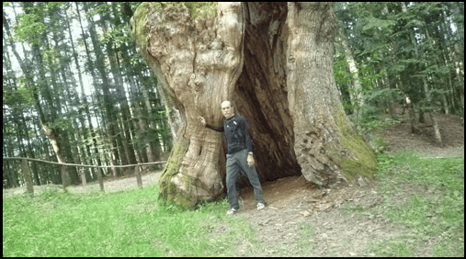 3cc2db40-541c-4e57-8eaf-7933af07ae41