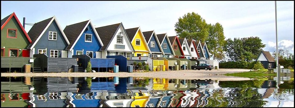 50528998-cfdf-446e-88a0-693464ed74d4.jpeg 50528998-cfdf-446e-88a0-693464ed74d4.jpeg