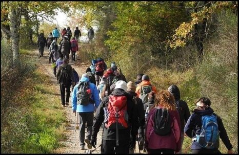 a2ff0e43-eafe-439d-ab31-987d2ce993f0.jpeg a2ff0e43-eafe-439d-ab31-987d2ce993f0.jpeg