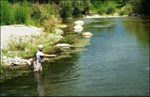 739a2417-9483-4782-97d5-e5d29865e24f.jpeg 739a2417-9483-4782-97d5-e5d29865e24f.jpeg