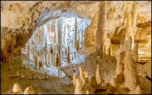 fd778347-30b8-470a-952f-9d7b16c1cdd2.jpeg fd778347-30b8-470a-952f-9d7b16c1cdd2.jpeg