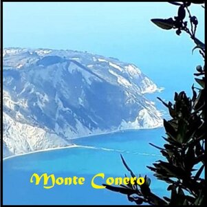 38b2e907-3bd3-452a-9ea9-41cbe2d2a485 38b2e907-3bd3-452a-9ea9-41cbe2d2a485