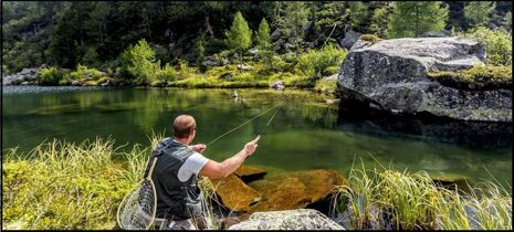 543d3d8a-38ba-4380-9020-32d50d023a4f.jpeg 543d3d8a-38ba-4380-9020-32d50d023a4f.jpeg