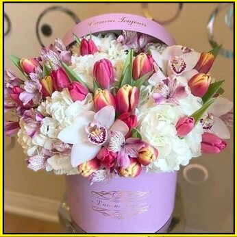 cfa12ba2-d20c-4ff2-b321-8668cc5ac198