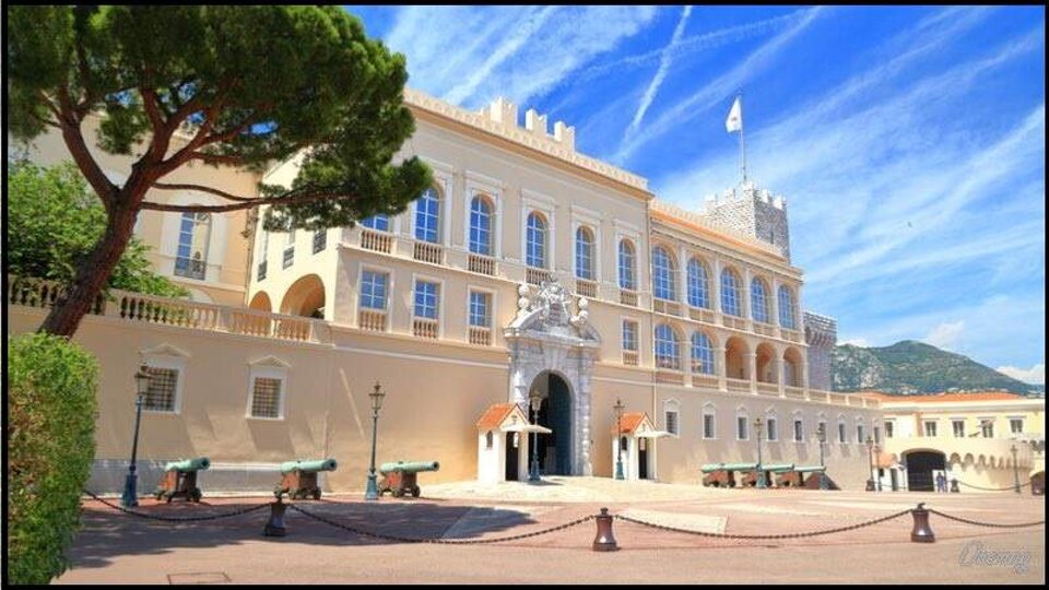 9801ed35-ca79-4893-8759-d2d6225f0bb5.jpeg 9801ed35-ca79-4893-8759-d2d6225f0bb5.jpeg