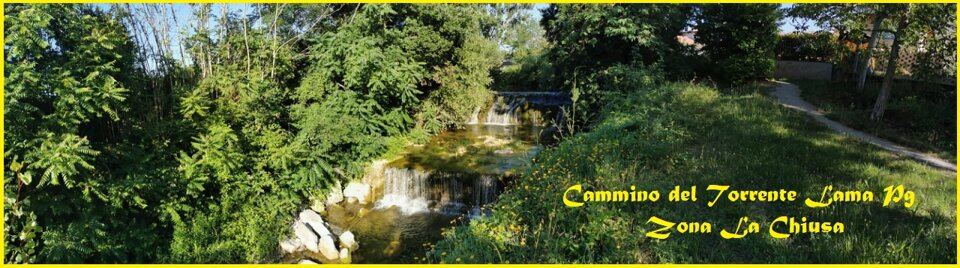 b1c9dfa1-28ac-43d1-8ffb-6a0e0c31aefb