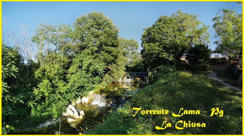 95b25918-1b99-4e51-b6fd-b6872075079e 95b25918-1b99-4e51-b6fd-b6872075079e