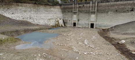 842c9f96-6672-4e37-9cf3-67bd2b65d3da 842c9f96-6672-4e37-9cf3-67bd2b65d3da