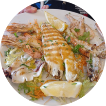 03b208b8-9c1d-43ae-9dfc-ed0ac9b94941 03b208b8-9c1d-43ae-9dfc-ed0ac9b94941