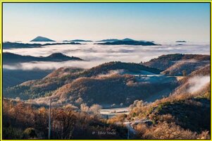 f001bc50-ad7a-45ff-a999-b6ceccc9ab66