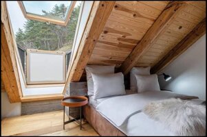 f8091322-99d7-4ce5-885c-43399f4e4c3b f8091322-99d7-4ce5-885c-43399f4e4c3b