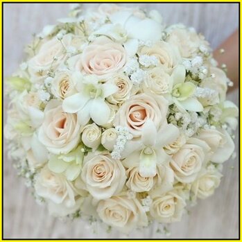 f2718fdd-1ca5-42fe-92a8-04f7391f02d2