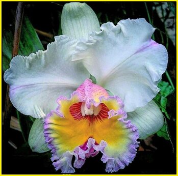 4b5cdc87-8003-4be3-9436-c15fb5eeee9d