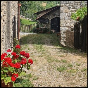 d2f780af-1291-4ae2-92f1-f5a0a3087166 d2f780af-1291-4ae2-92f1-f5a0a3087166