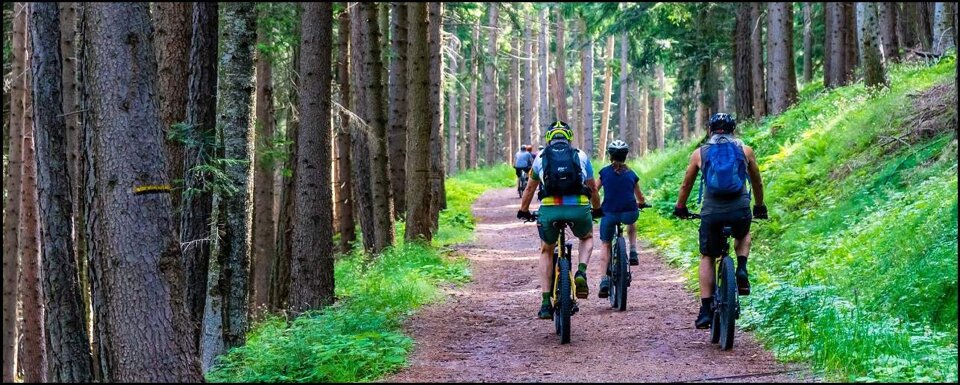 1b5d9f49-f1fd-4705-9945-d3d4ebcc7e9b.jpeg 1b5d9f49-f1fd-4705-9945-d3d4ebcc7e9b.jpeg