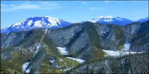 74b785ea-0498-46b2-9387-43624f526025.jpeg 74b785ea-0498-46b2-9387-43624f526025.jpeg