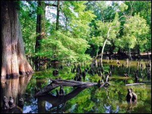 8170cbe2-b6a3-47c8-98ba-6d04cc8985fa.jpeg 8170cbe2-b6a3-47c8-98ba-6d04cc8985fa.jpeg