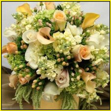 8775245a-09a8-4d04-9647-0ccd5e5572b8