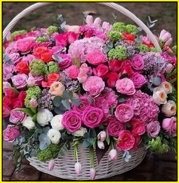 47e16163-6d07-420e-93da-e7a13cbfe4d4