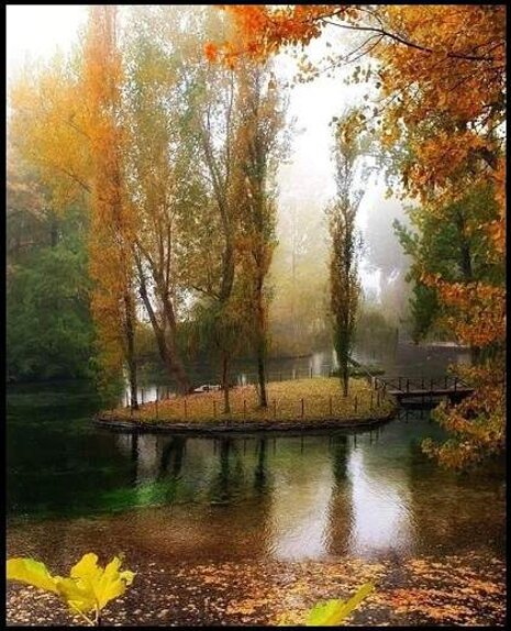 c4fc1f77-9081-4970-8e6c-fd0eaafd7db0.jpeg c4fc1f77-9081-4970-8e6c-fd0eaafd7db0.jpeg