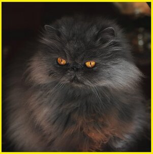 c50034d7-2981-4b3f-ad74-d97d32e14db4