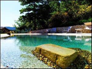 80d3451b-4417-41ce-88a9-99aa73a57b19