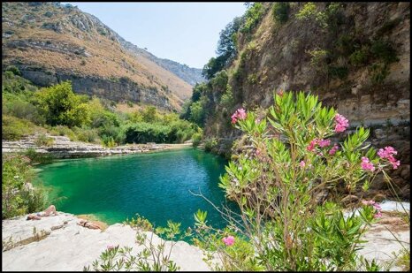 f99cfc3b-da3a-441a-b130-754e42178007.jpeg f99cfc3b-da3a-441a-b130-754e42178007.jpeg