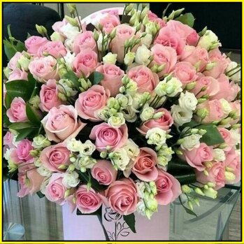 10051fc4-3bec-4bd2-8b83-5758f6fea405