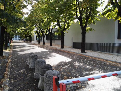 c4a0bca1-28d3-444d-bc41-6916c779cdf7 c4a0bca1-28d3-444d-bc41-6916c779cdf7