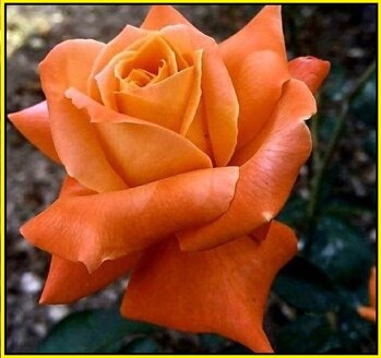 092a05a0-4164-456d-87bd-16ba72913c04