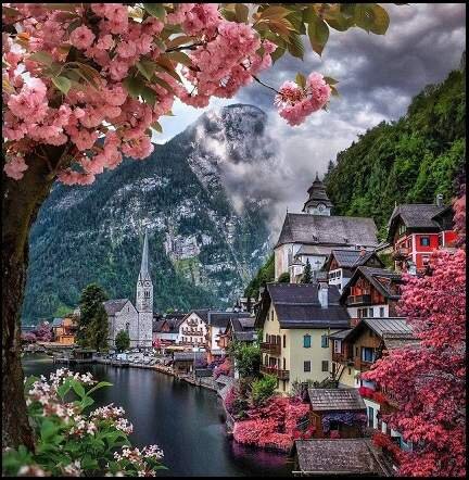 d8846143-8a97-4466-aa21-ea6cec479ff1.jpeg d8846143-8a97-4466-aa21-ea6cec479ff1.jpeg