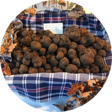 30ffad35-3235-46ac-8861-2da23572b1be