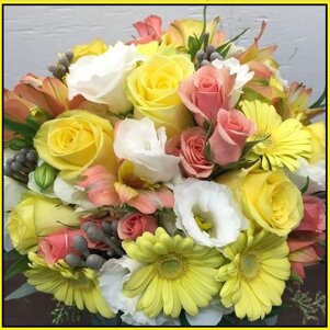 f064f194-8785-46d4-85d1-249275d2c327