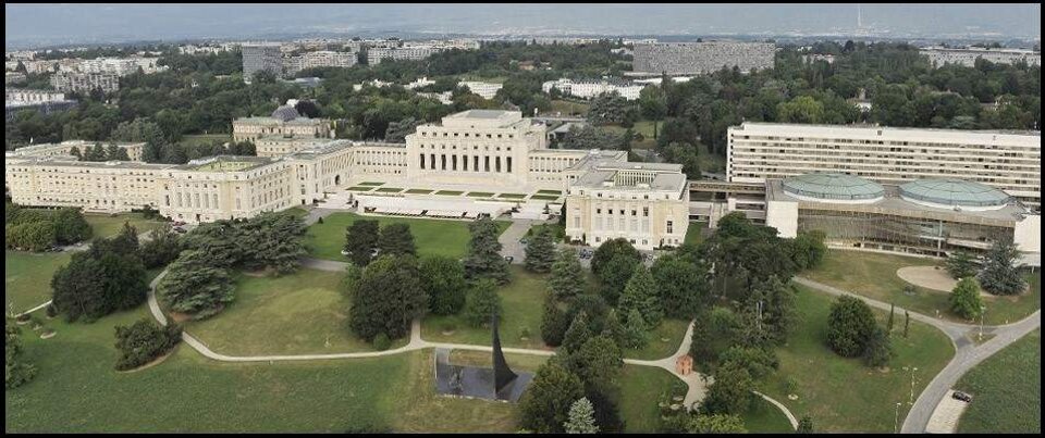 cac81601-669e-4458-9118-8500358b16df.jpeg cac81601-669e-4458-9118-8500358b16df.jpeg