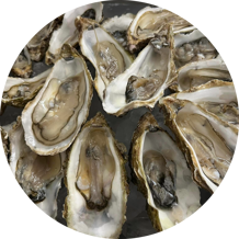 c00073c8-a970-49ed-9aa8-b504fd00cad1