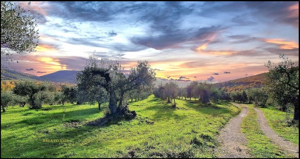 0e66a356-42a7-42ef-8a8b-79889c87a74e 0e66a356-42a7-42ef-8a8b-79889c87a74e