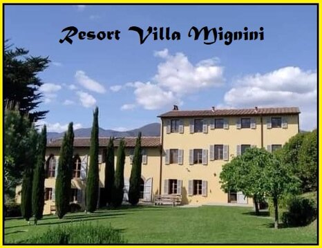 e98324c5-a31c-4305-9374-295effade975 e98324c5-a31c-4305-9374-295effade975